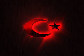 YÜZ YILIMSIN / (Cumhuriyetin yüzüncü yılı için - Şiir)